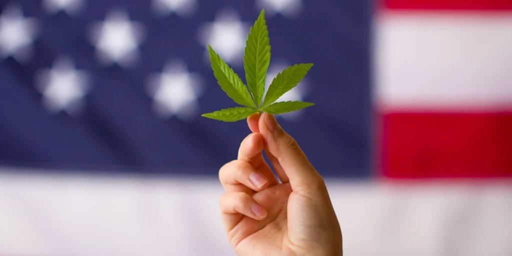 La marihuana será legal en Florida